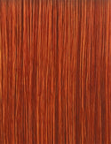 OUTRE - LACE FRONT WIG - PERFECT HAIR LINE13X6 - TRUE FRONTAL - PEAK 711