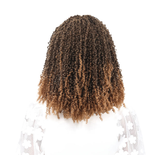 TRU WIG - FEEL FREE HAIR 13X5 LACE FRONT YANKY TWIST BRAID WIG 16-18