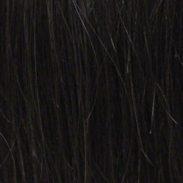 TRU WIG - 100% VIRGIN REMY HUMAN HAIR LACE FRONT WIG HLF135-LEILA