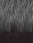 OUTRE - FAB & FLY FULL CAP WIG GRAY GLAMOUR- HH - CELIA