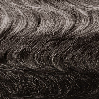 OUTRE - FAB & FLY FULL CAP WIG GRAY GLAMOUR - HH - DERIA