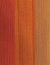 RED ROSE + AMBER + CAJUN SPICE