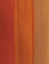 RED ROSE + AMBER + CAJUN SPICE