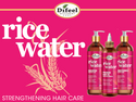 Difeel - Rice Water Sulfate-Free Shampoo