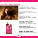 Difeel - Rice Water Sulfate-Free Shampoo