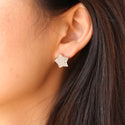 JOY JEWELRY - Gold Cubic Zirconia Earrings STAR (SAC040)