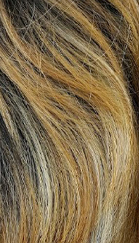 SISTER WIG - 100% HUMAN LACE PART WIG HR-HARA