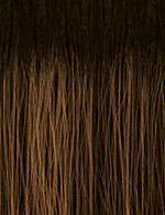 SENSATIONNEL - BUTTA 360 LACE WIG - UNIT 6