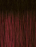 SENSATIONNEL - IW DRAWSTRING CAP 023-HRF (DRAWSTRING)