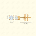 GNS - Gold Square Stud Earrings (CURT3G)