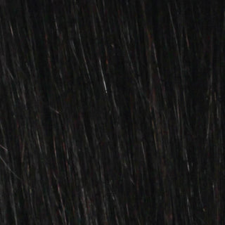 Buy 1b-off-black EVE HAIR INC - FASHION BUN LARGE DOME