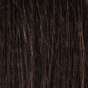 EVE HAIR INC - FASHION BUN LARGE DOME