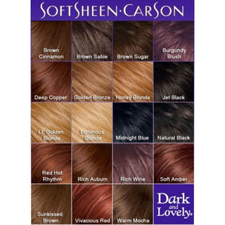 SoftSheen Carson - Dark & Lovely Fade Resist Permanent Hair Dye Kit #378 (HONEY BLONDE)