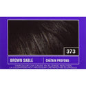 SoftSheen Carson - Dark & Lovely Fade Resist Permanent Hair Dye Kit #373 (BROWN SABLE)