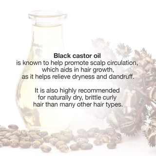 STAR CARE - Jamaican Black Castor Oil Lavender