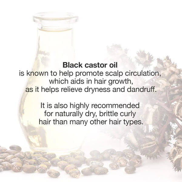 STAR CARE - Jamaican Black Castor Oil Lavender