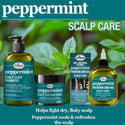 Difeel - Peppermint Scalp Care Shampoo