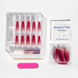 EBIN - 3D NAIL CHIC - PLUM SORBET