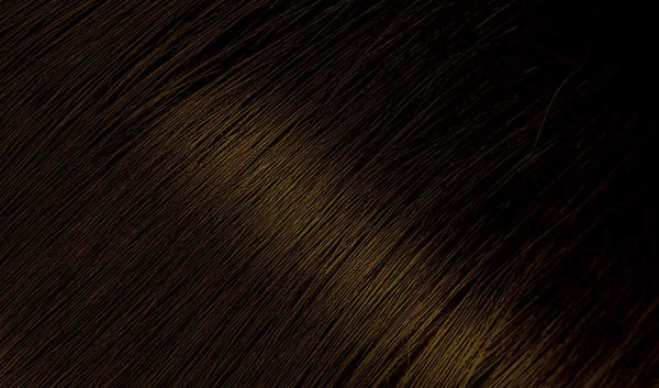 Bigen - Permanent Powder Hair Color 26 Golden Brown