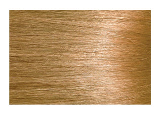 Bigen - Easy Color High-Lift Hair Dye 6HB Honey Blonde
