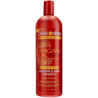 Creme of Nature - Argan Oil From Moisture & Shine Shampoo 20oz