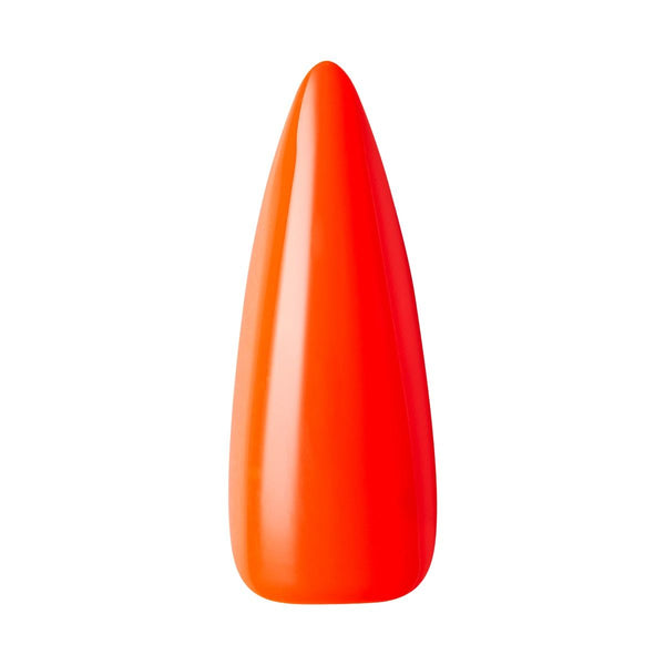 KISS - GF SOLID COLORS - FAVOR