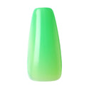 KISS - GF SOLID COLORS - HELLO